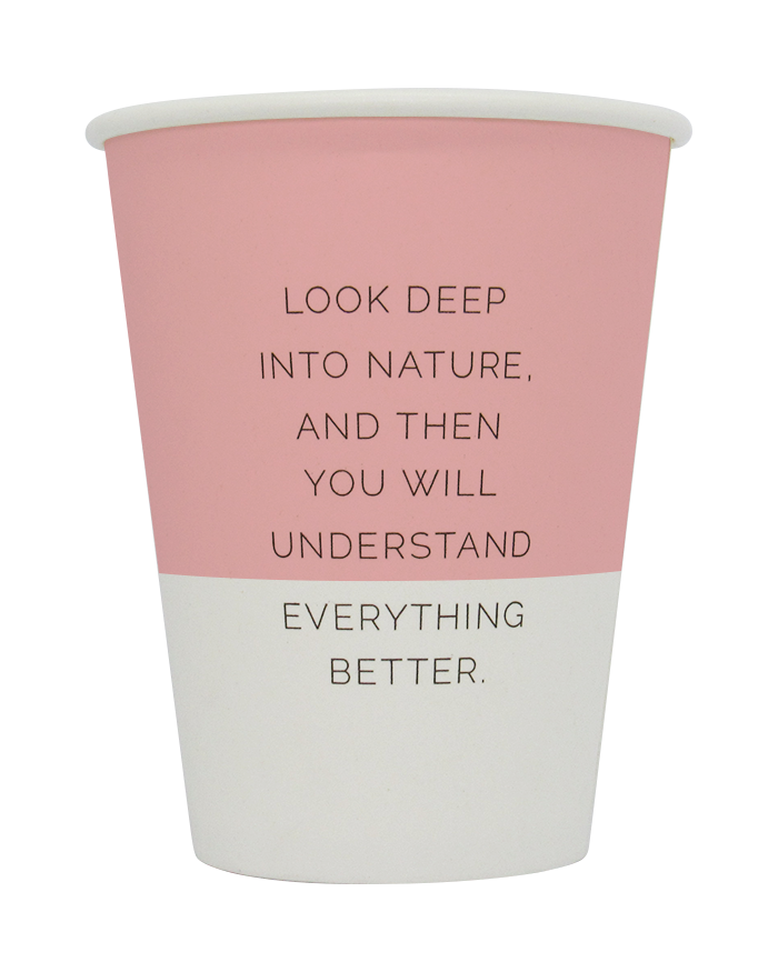 12oz Paper Cups